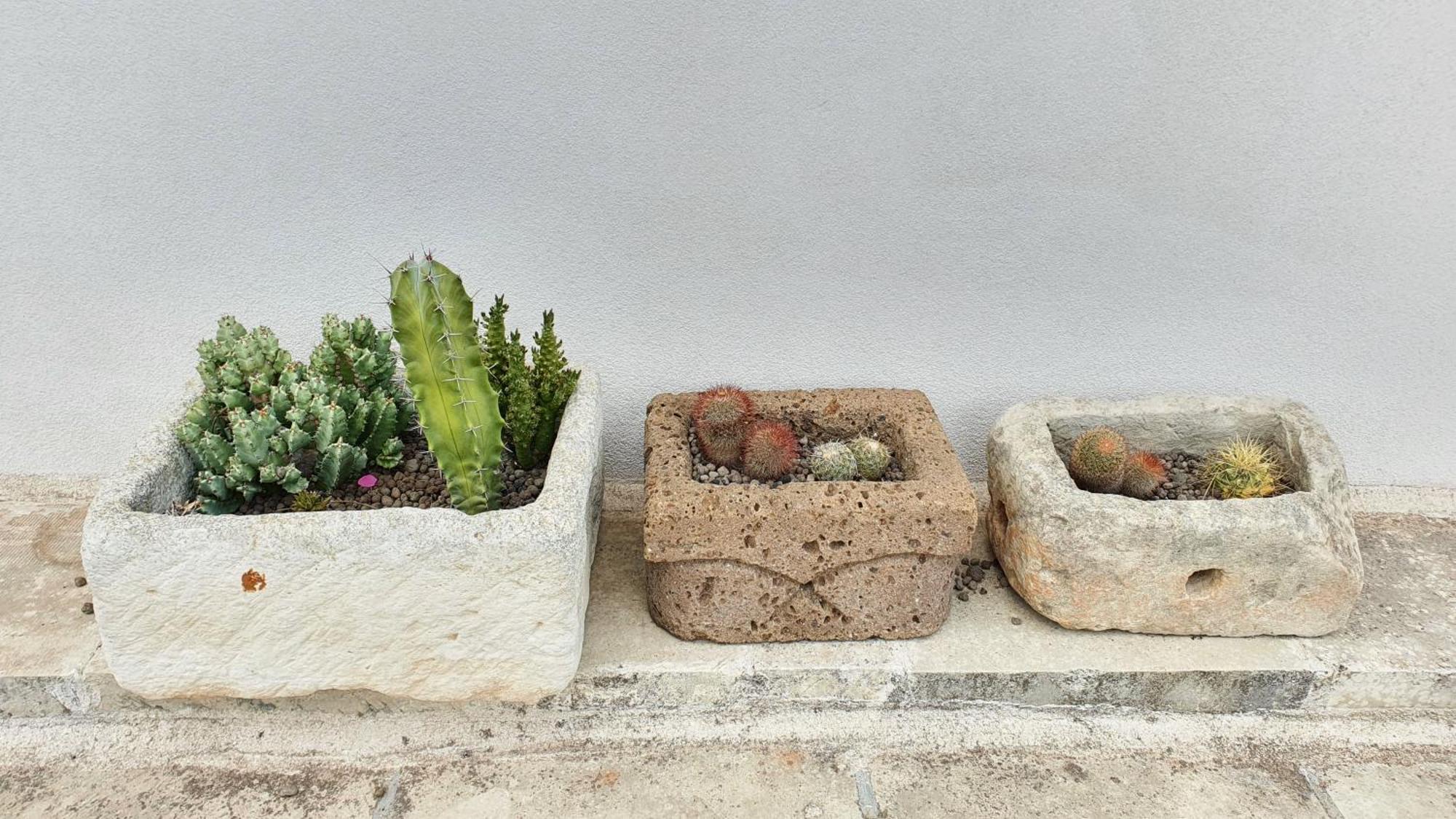 La Dimora Dei Conti Panzió Collemeto Kültér fotó